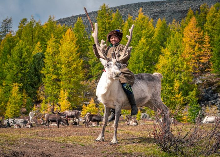 tsaatan boy, reindeer