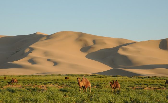 khongor sand dunes