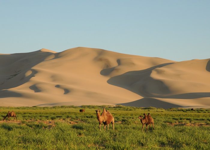 khongor sand dunes