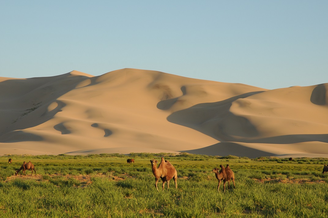 khongor sand dunes