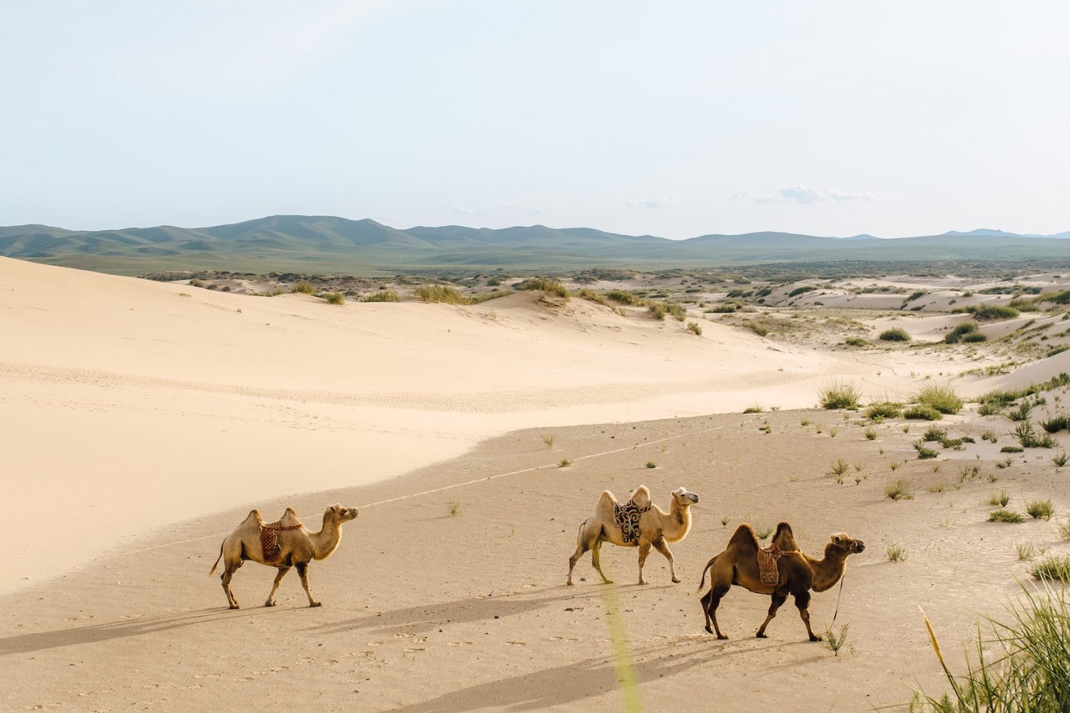 Kharakhorum, Elsen Tasarkhai Sand Dunes