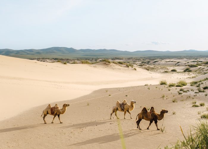 Kharakhorum, Elsen Tasarkhai Sand Dunes