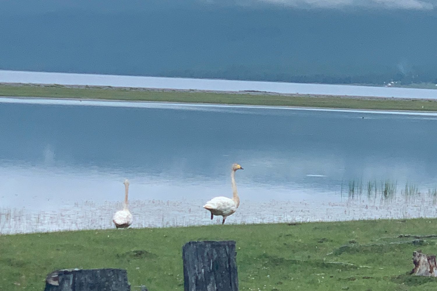 Khuvsgul Lake