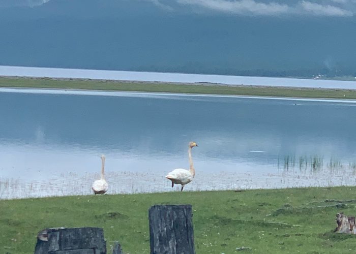 Khuvsgul Lake