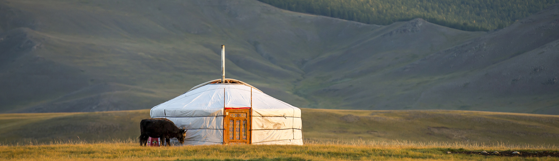 Mongolian Ger