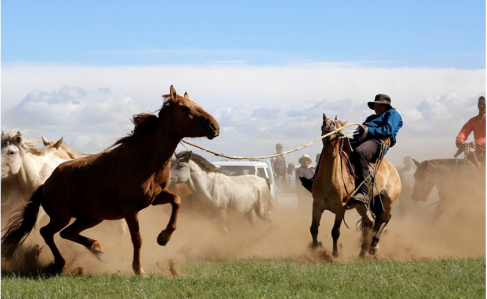 Tamer of horses