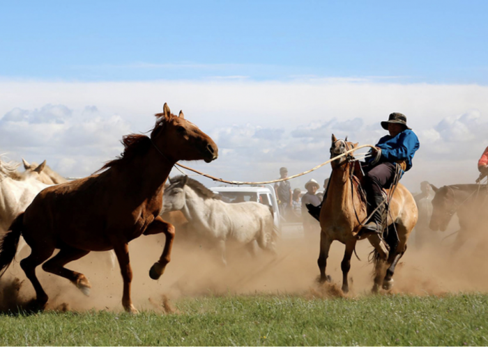 Tamer of horses