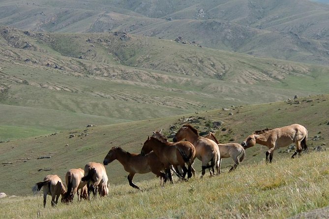 Hustai National Park