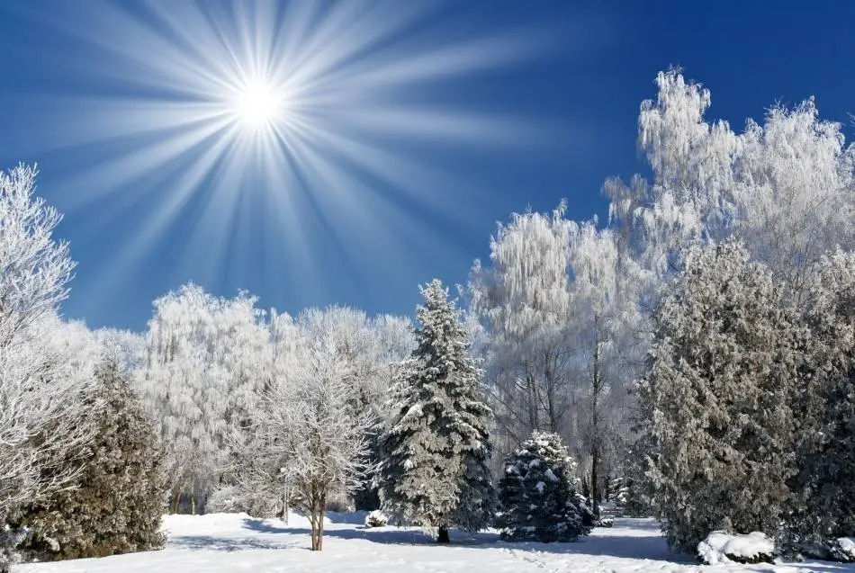 Things to see in Mongolian Winter
