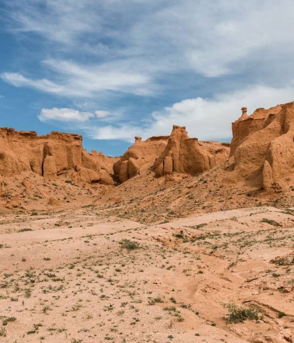 Bayanzag
