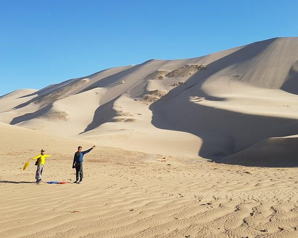 Gobi