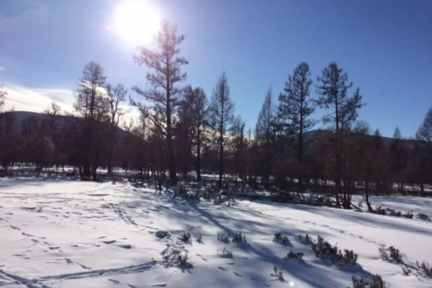 Terelj National Park Horseback Experience